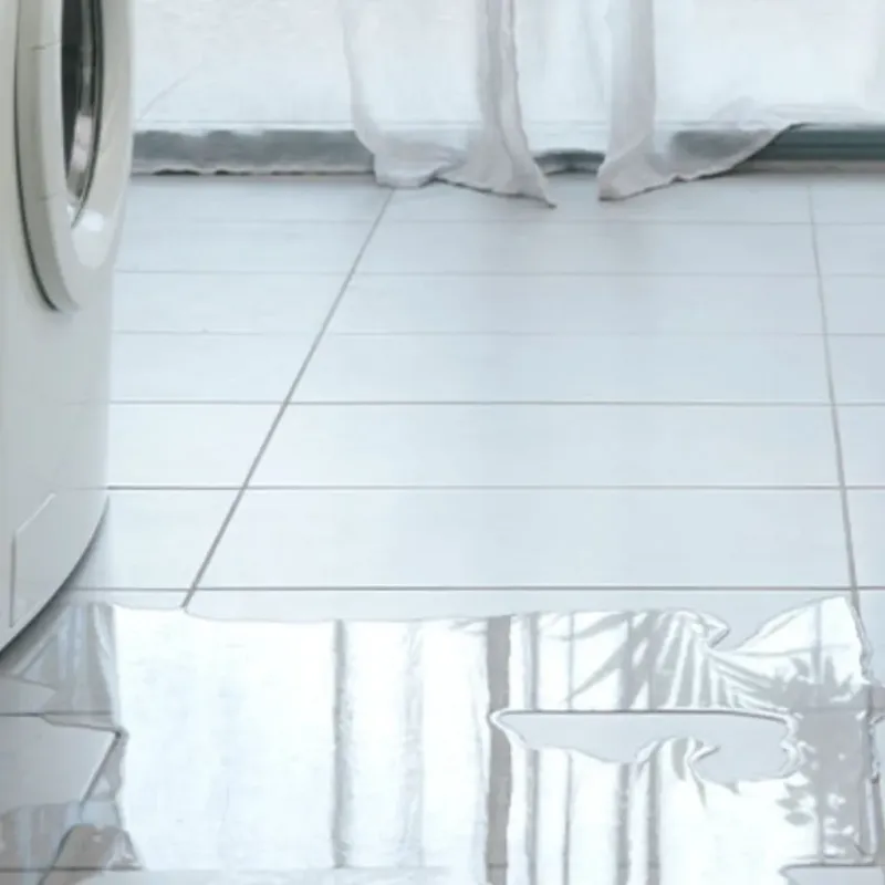 Appliance Leak Cleanup in Homer Glen, IL