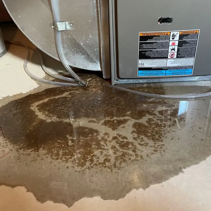 Pipe Burst and Leak Restoration in Homer Glen, IL